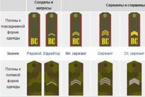 Только список, без воды: звания в армии России по возрастанию